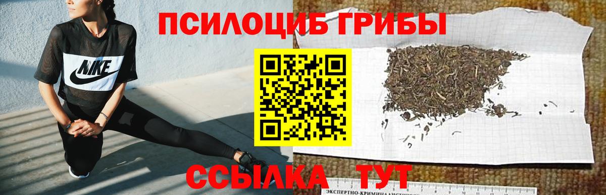 Псилоцибиновые грибы мухоморы  Вход с VPN  Стрежевой 
